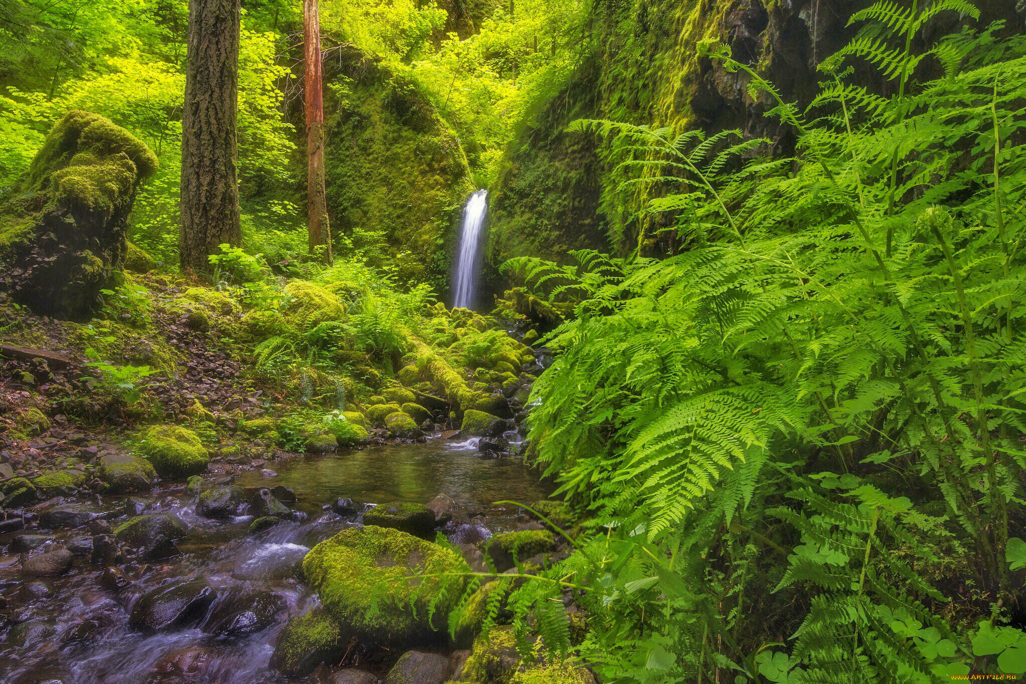 , , , , , mossy, grotto, falls, , , , , oregon, columbia, river, gorge, 